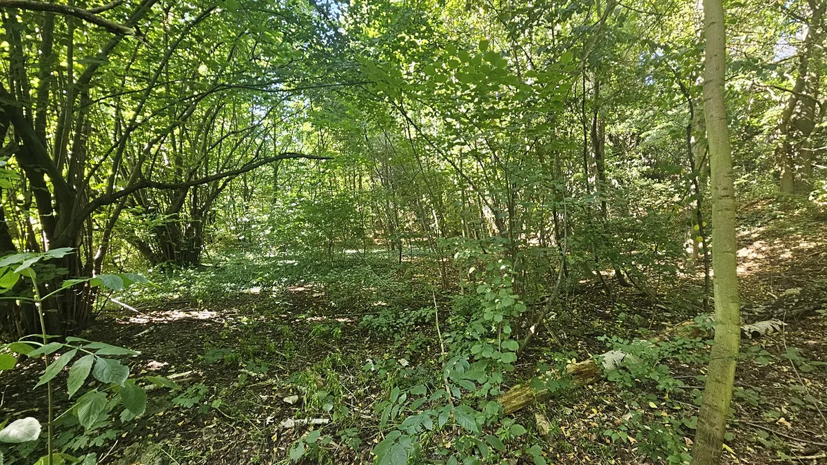 Fotka 17 z 17
